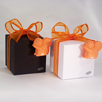 Cube carton blanc/brun et Aimant écureuil orange